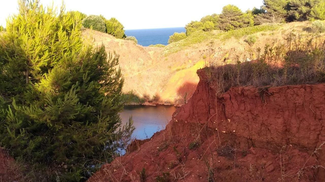 La Terrazza Sul Castello Leilighet Palmariggi Eksteriør bilde